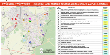  14 Czerwca 2020 Bo2019   Wykaz projektow