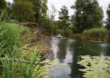  7 Lipca 2019 66024545 427503764508767 7827888131037724672 n