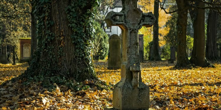  17 Lipca 2019 Autumn 2182010 1280