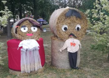 Dożynkowo w Lipnie (film)