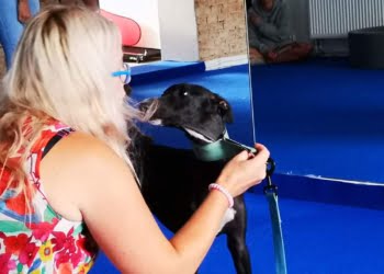  5 Sierpnia 2019 Received 2402982266640619