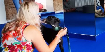  14 Czerwca 2020 Received 2402982266640619