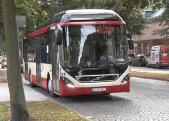 VII Dzień Przedszkolaka