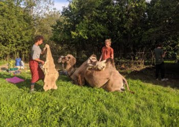  12 Czerwca 2020 68709634 2410368302531981 3877348934112247808 n