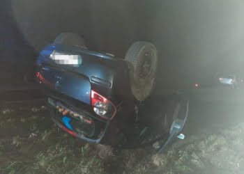 Dachowanie w Książęcym Lesie!