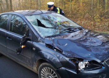 PILNE! Tragiczny wypadek na DK12 pod Lesznem !