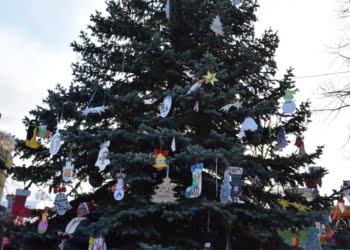 Miejska choinka już stoi! (zdjęcia)