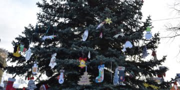 Miejska choinka już stoi! (zdjęcia)