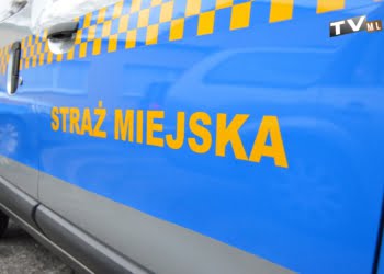 Najnowsza Dacia Dokker już na patrolu. Nowy samochód w Straży Miejskiej.