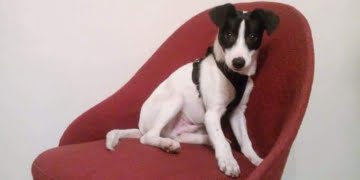  14 Czerwca 2020 Fb img 1577920785208