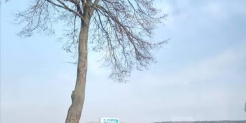 Wypadek dwóch aut na skrzyżowaniu w Łoniewie!