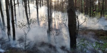  14 Czerwca 2020 94224551 949225625534157 2754511042598928384 n