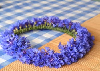 Wianki w Osiecznej odwołane