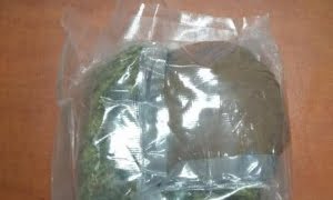  14 Czerwca 2020 321 279370 m