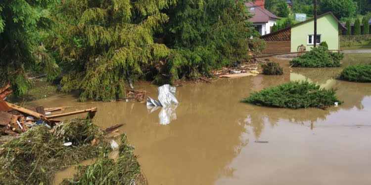  23 Lipca 2020 327020 b