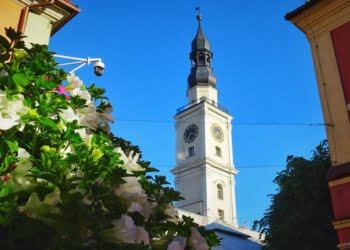 Kuranty tylko 4 razy na dobę!