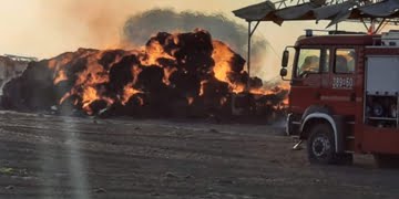  14 Czerwca 2020 120030326 2604297276548595 2670970266500832982 n