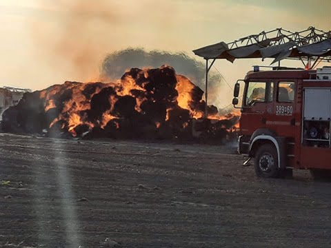  21 Września 2020 120030326 2604297276548595 2670970266500832982 n