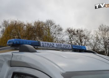 Leszczyńska Straż Miejska podała statystki z 2020 roku. Te liczby robią wrażenie