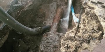  14 Czerwca 2020 149479963 10224151380109718 2439236729114365936 o