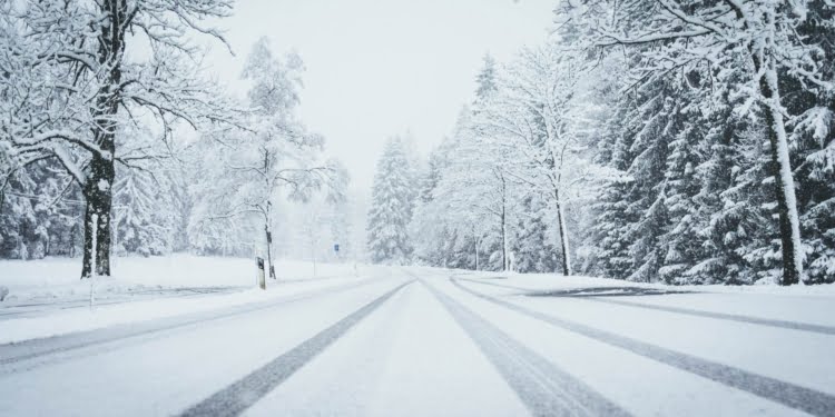Wide shot of a road fully covered by snow with pine trees on both sides and car traces 6 Lutego 2021 Wide Shot of a Road Fully Covered by Snow with Pine Trees on Both Sides and Car Traces