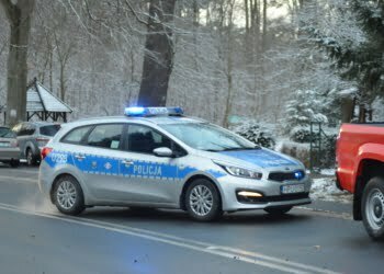 Tragiczny wypadek pod Lesznem. Nie żyje roczne dziecko