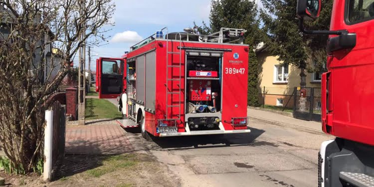 17347896415583663610269885502584934079623568n    14 Kwietnia 2021 173478964 1558366361026988 5502584934079623568 n