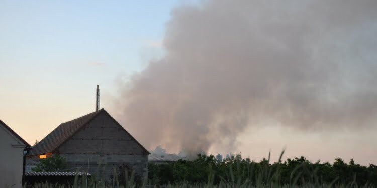 DSC0070 10 Czerwca 2021 Dsc 0070