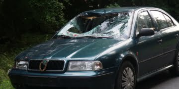  14 Czerwca 2020 Dsc07079