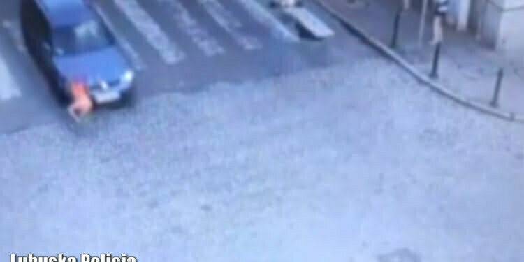  20 Sierpnia 2021 135 18637100 00 02 11still001