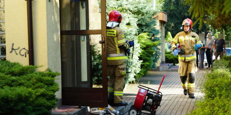 DSC07342 11 Sierpnia 2021 Dsc07342