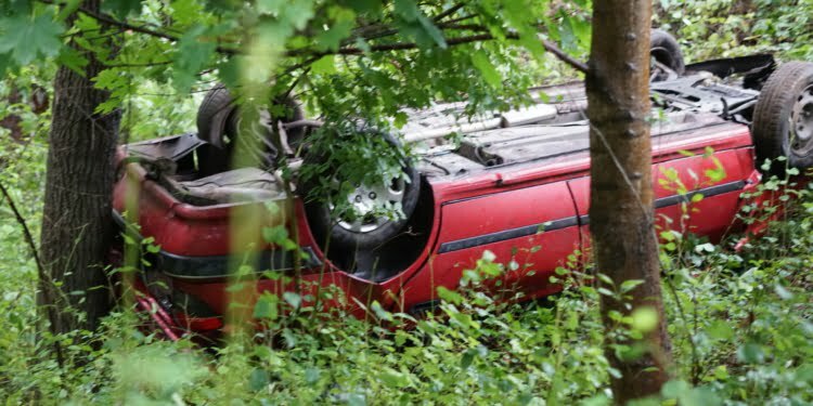  23 Sierpnia 2021 Dsc07473