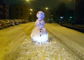 Nietypowy gość na ulicy Dąbrowskiego