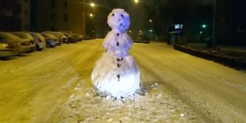 Nietypowy gość na ulicy Dąbrowskiego