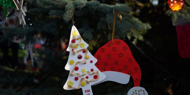 DSC08630 6 Grudnia 2021 Dsc08630