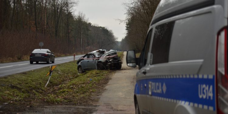 DSC2967 4 Lutego 2022 Dsc 2967