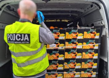 Narkotyki ukryli w skrzyniach z pomarańczami