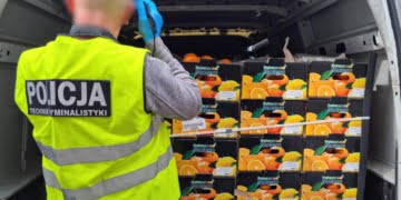 Narkotyki ukryli w skrzyniach z pomarańczami