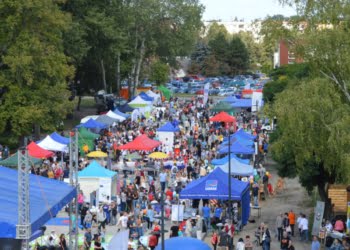 Już jutro Wielki Festyn Aktywności. Co nas czeka w tym roku?