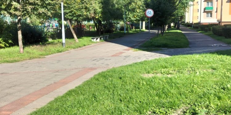 IMG20220926154924jpg   Planty 29 Września 2022 Img20220926154924jpg