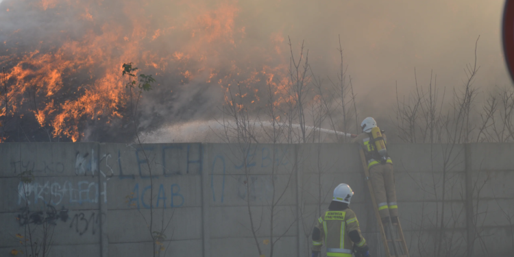  6 Listopada 2022 Dsc 0305