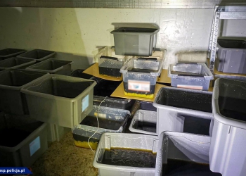 Zlikwidowano laboratorium narkotyków w powiecie leszczyńskim!
