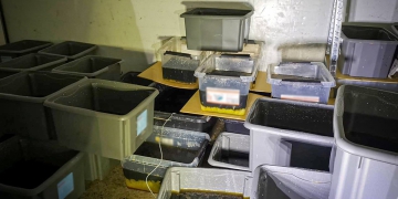 Zlikwidowano laboratorium narkotyków w powiecie leszczyńskim!