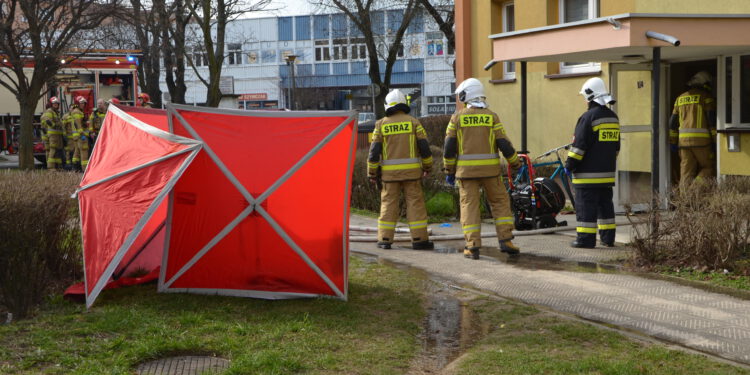  19 Marca 2023 Dsc 1727