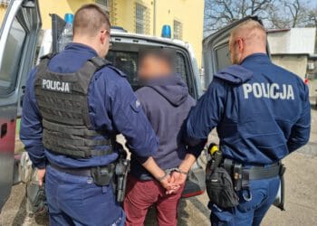 Oszust zamiast telefonu sprzedał…kamień. Trafił do aresztu