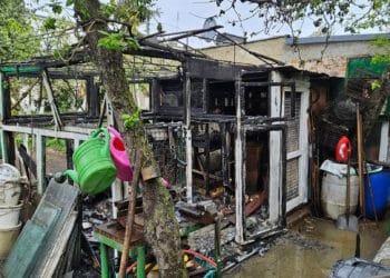 Poranny pożar szklarni w dzielnicy Gronowo