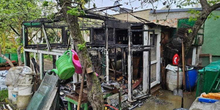 3437617228128304263460726641897690888587082n 27 Kwietnia 2023 343761722 812830426346072 6641897690888587082 n