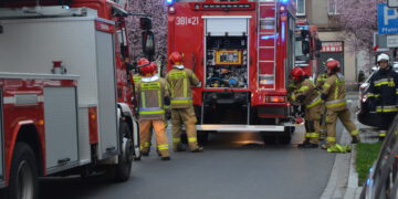 Zgłosiła pożar, później przyznała się, że to żart (zdjęcia)