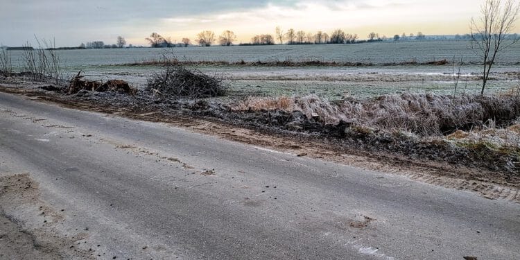 Wiaty 20 Kwietnia 2023 Thumb goniembice osieczna 2 af0b62cce78d7f494b0e8cd5523f831d