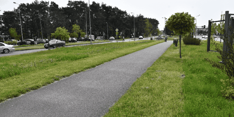 zieleń   Koszenia 1 Czerwca 2023 Zieleń